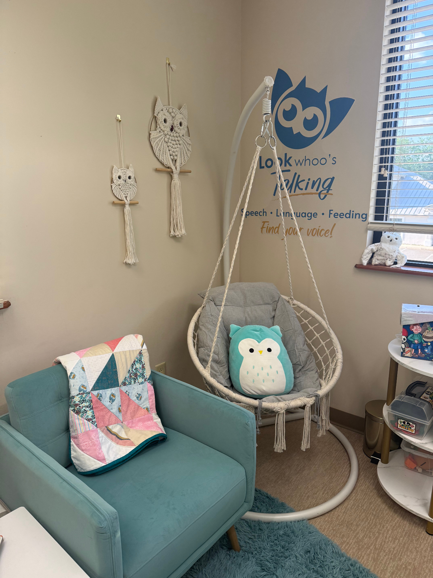 Macrame owls and hanging chair in the therapy room